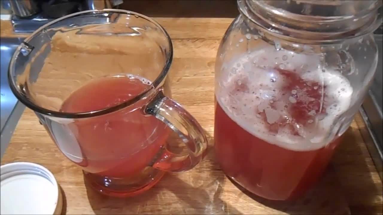 My Homemade Blackberry Kefir Soda