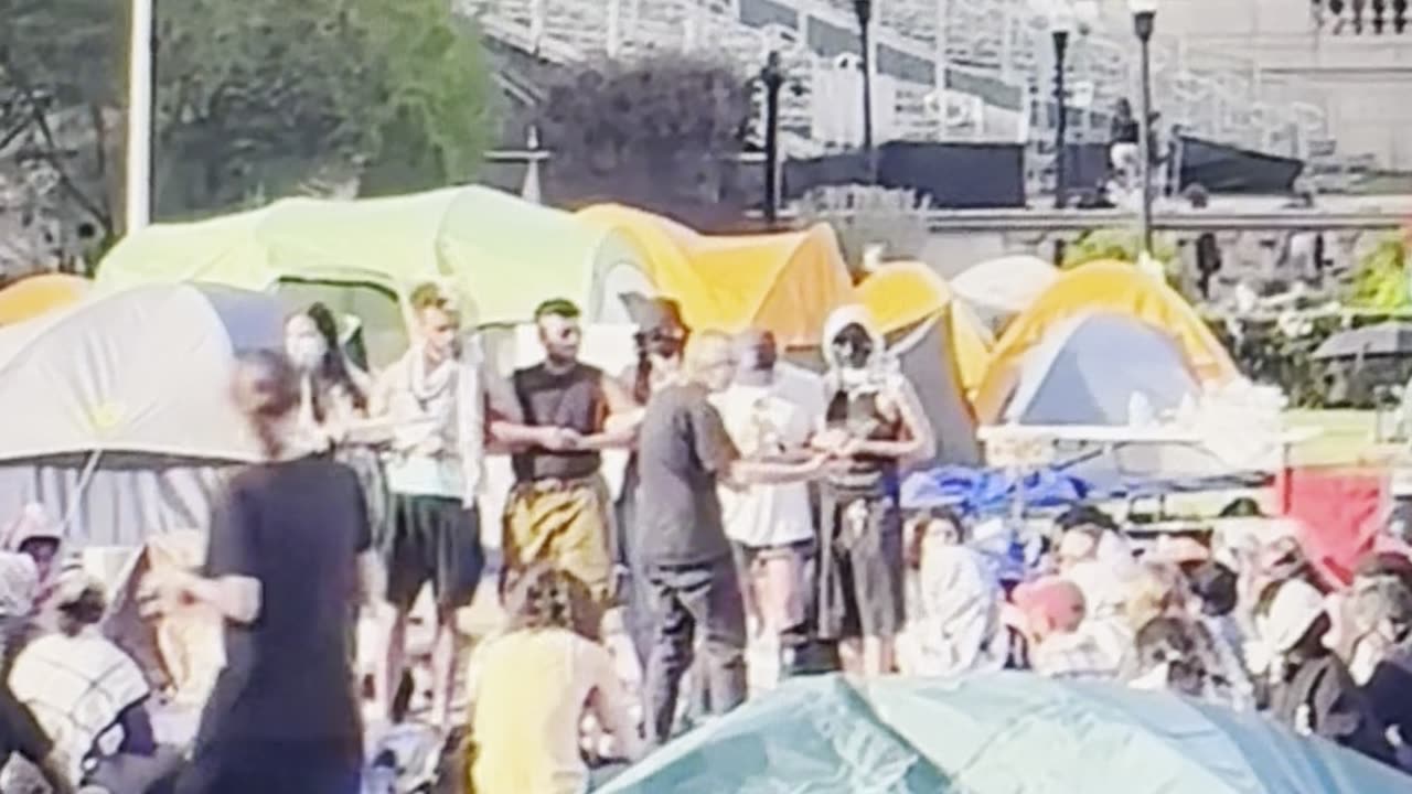 Lisa Fithian at Columbia Occupation