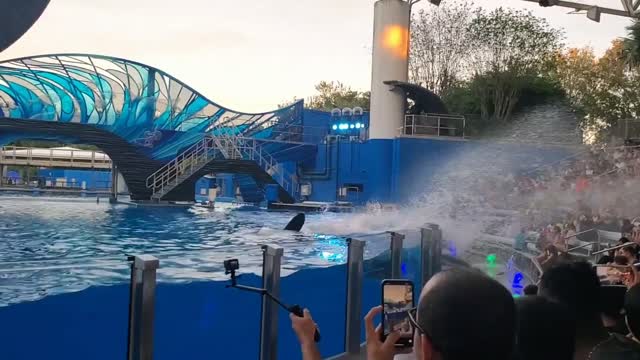 Splash zone at sea world