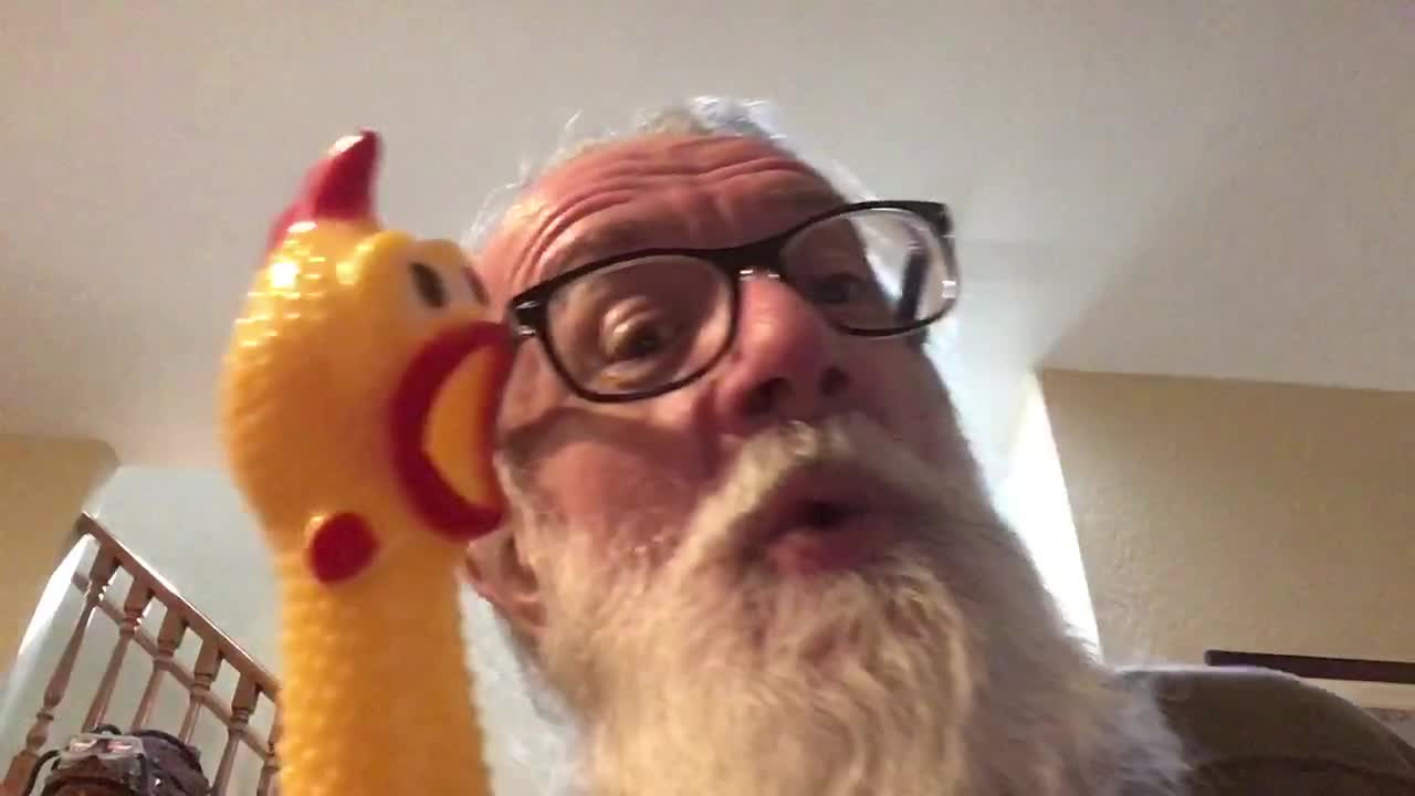 Yodeling the Day Away with my Rubber Chicken