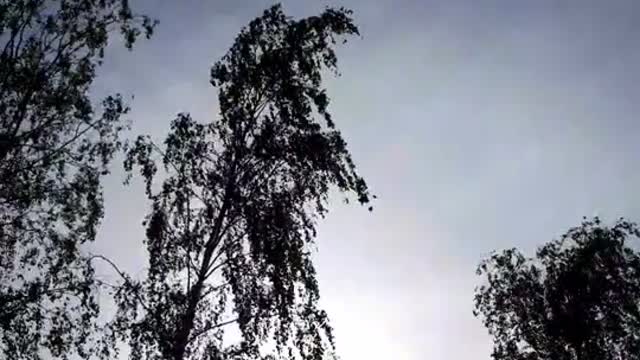 Himmel in Berlin 19. Mai 2022 um 16:15 Uhr