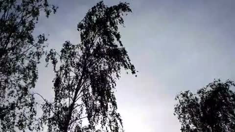 Himmel in Berlin 19. Mai 2022 um 16:15 Uhr