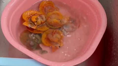 Cleaning scallops