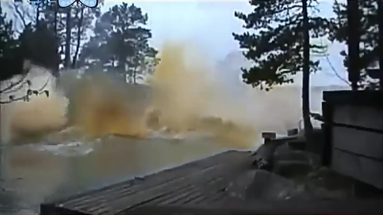 Crazy video
