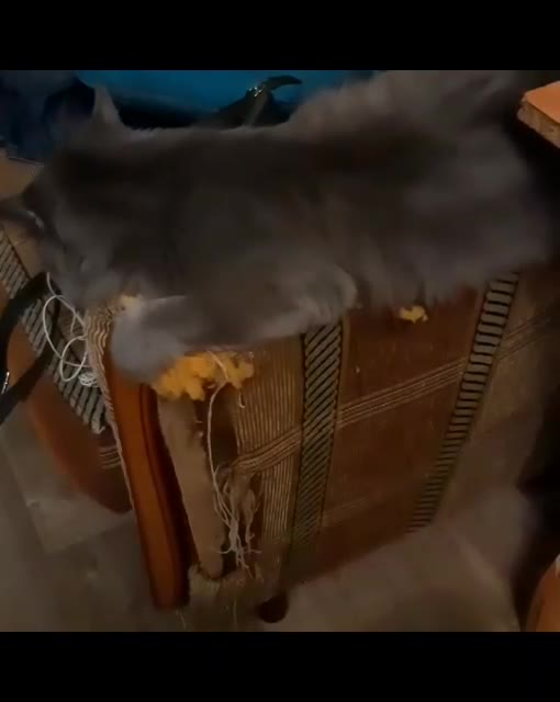 I show what the Cat turned an old chair into.