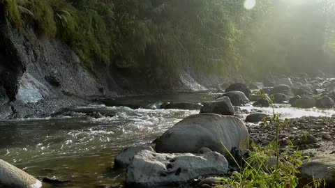 Natural music for peace of mind