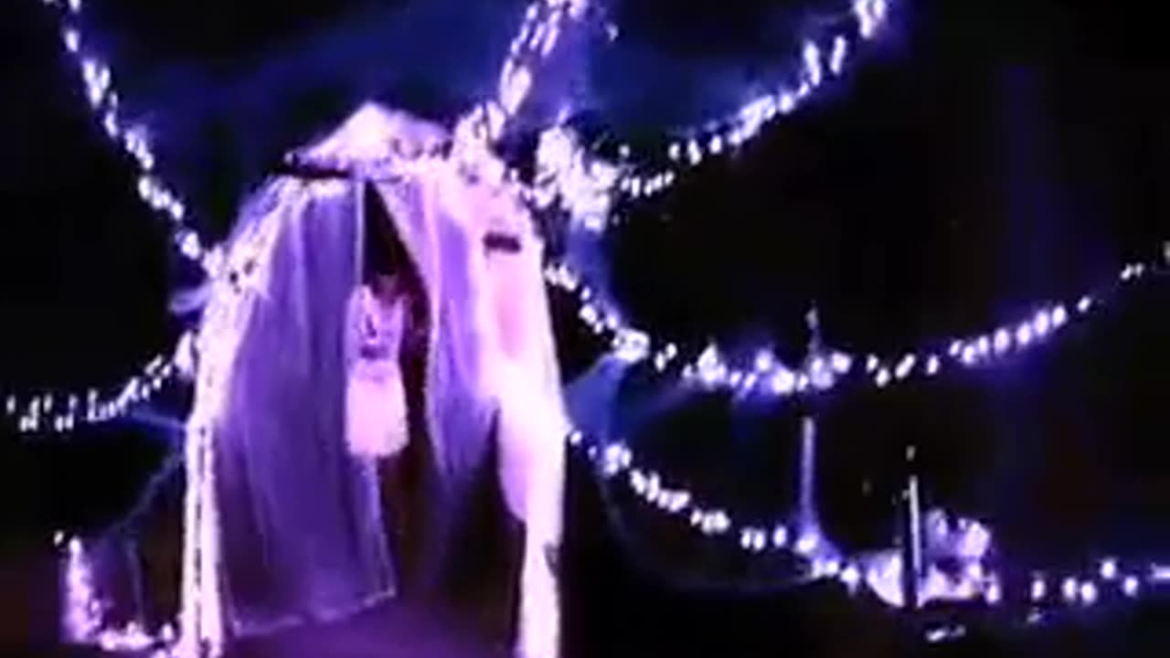 Marta Wiley_ Swan & the Stary Vault.mp4