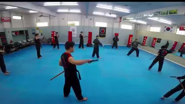 Hapkido