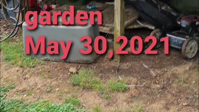 HANGING GARDEN MAY 30,2021