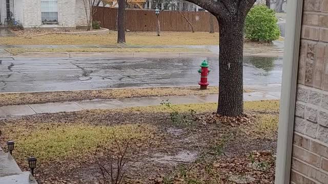 Snowing In Cibolo