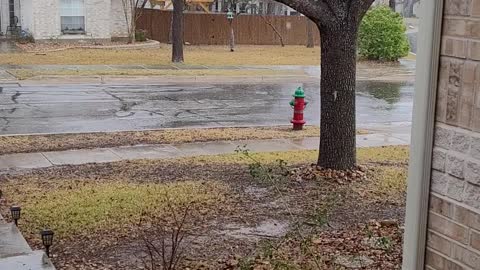 Snowing In Cibolo