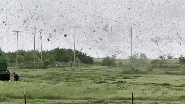 Dust Devil Disturbs Eerily Calm Day