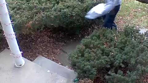 FED EX Employee THROWS package