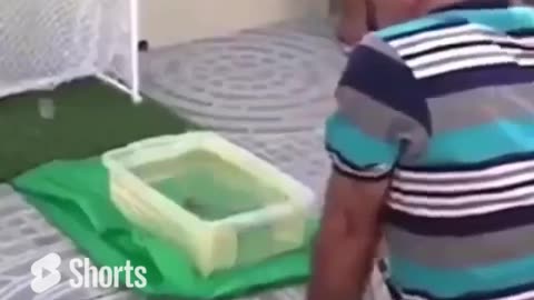 Fish Strong Shot On The Football #shorts #shortvideo #video #virals #videoviral