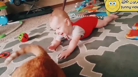 The cat's tail made the baby laugh hysterically