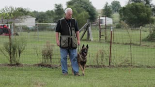 House Of K9 Breeding Belgian Malinois