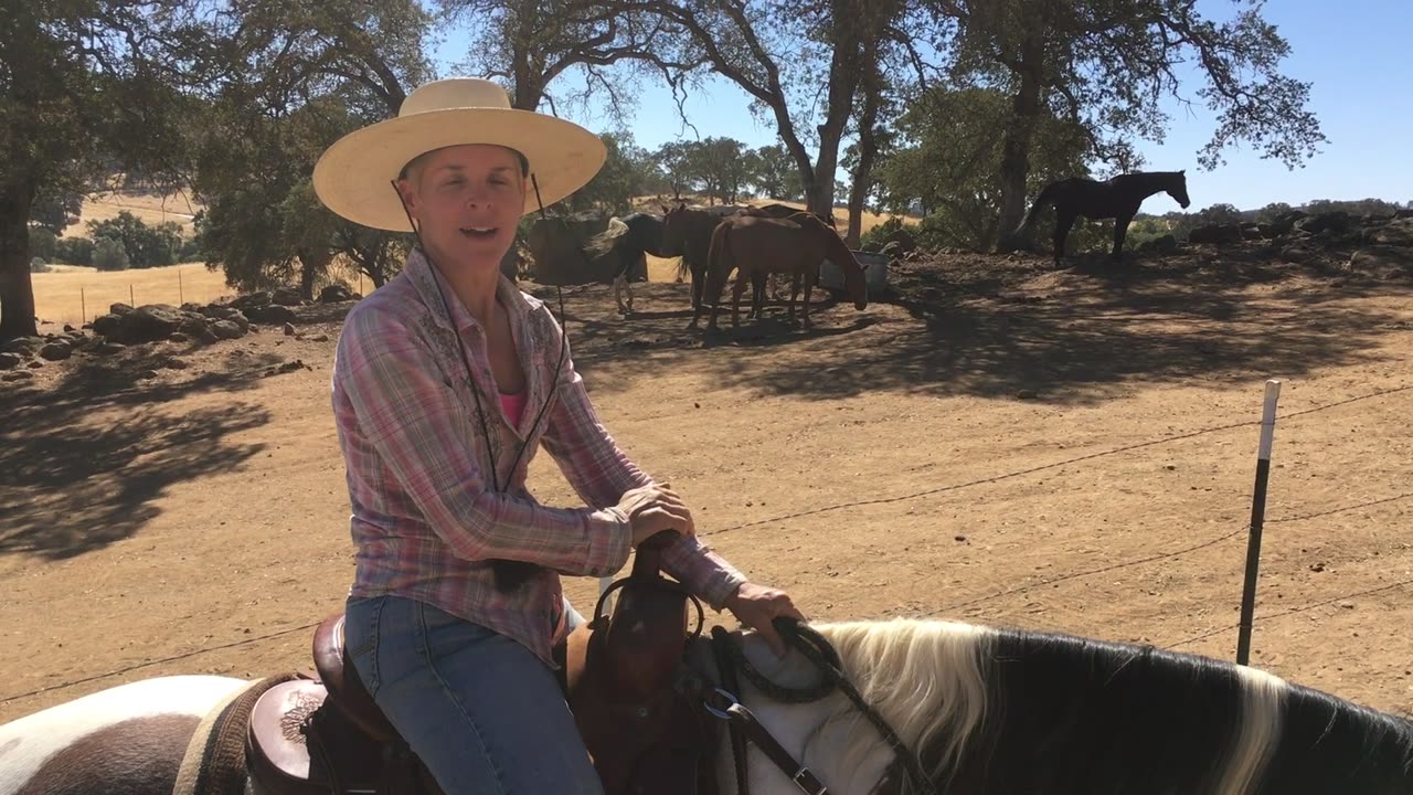 Bauhr Ranch Stabling Program