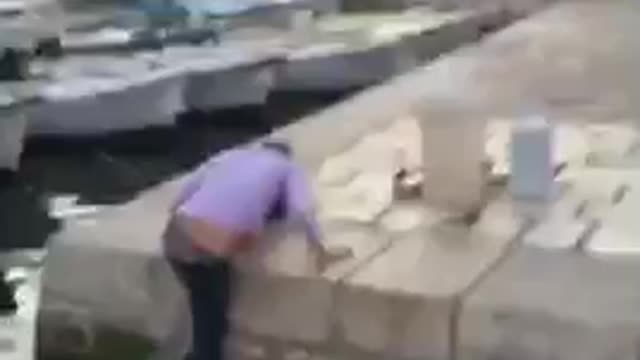 Jeans and purple shirt tries jump over water and doesn't quite make it