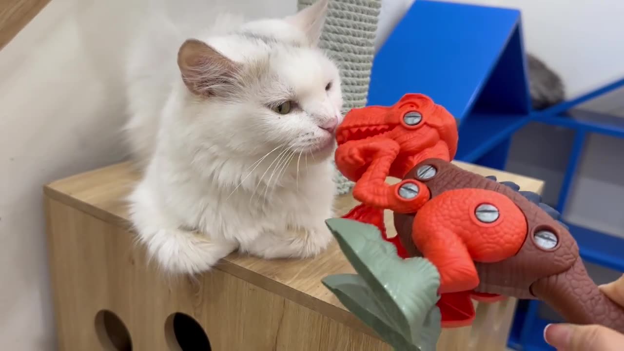 How would a cat react to a dinosaur