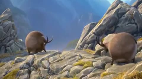 Funny fat animal's cartoon
