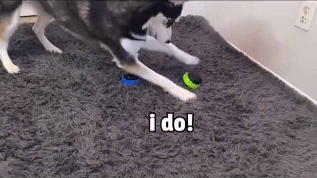 Maya's first time using talking button| LOL