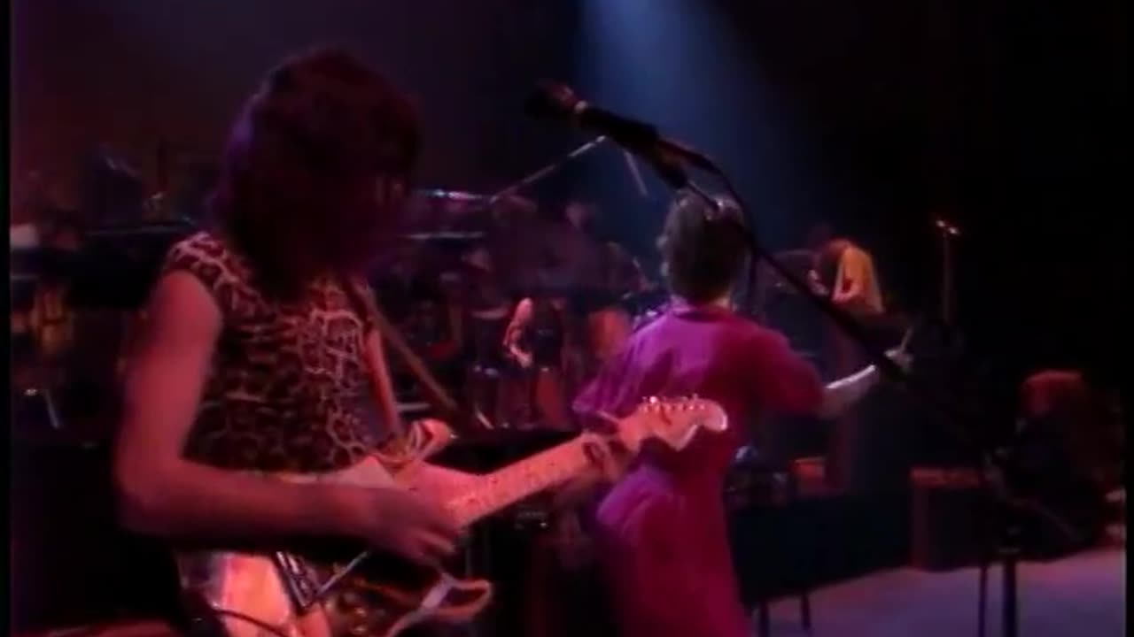 Frank Zappa- The Torture Never Stops 1981