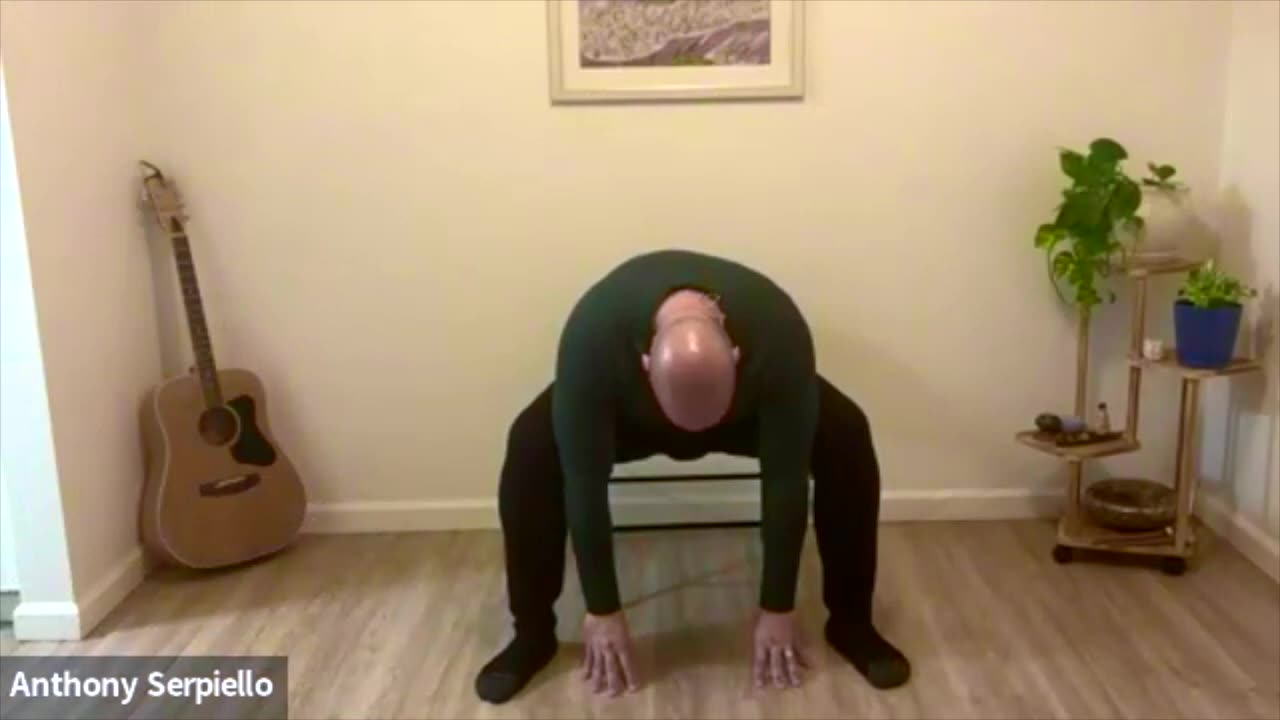 Live: Gentle Chair Yoga Class - 55 Minute Class