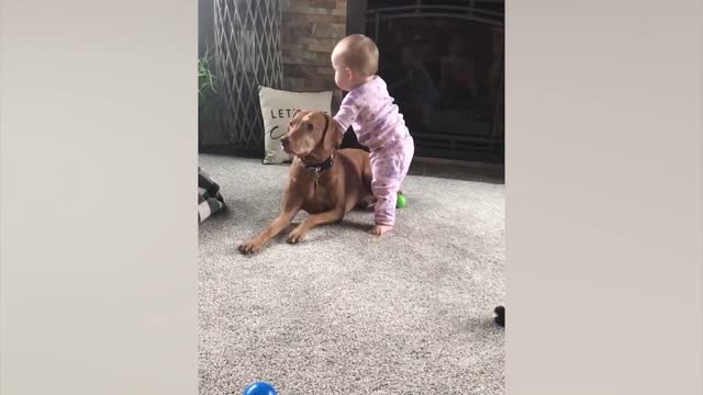 Cute Babies Playing With Dogs Compilation