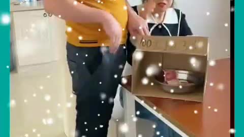 Funny videos