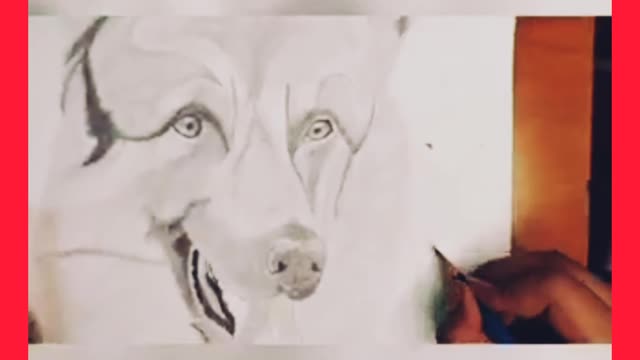 Dog drawing