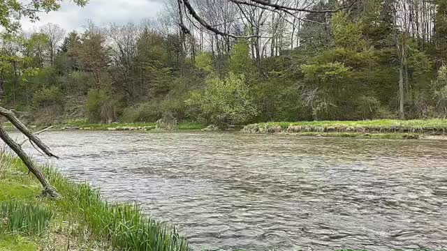 River Sounds and nature relaxing