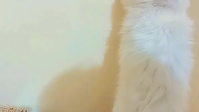 My baby Dora 😊😊☺️❤️