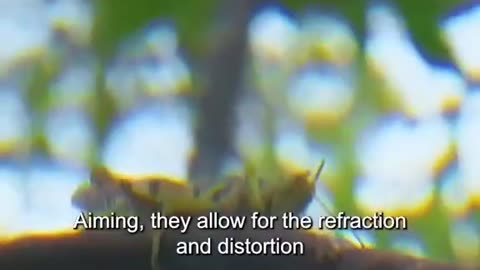 What A Precise Move To Hit The Target #shorts #shortvideo #video #virals #videoviral