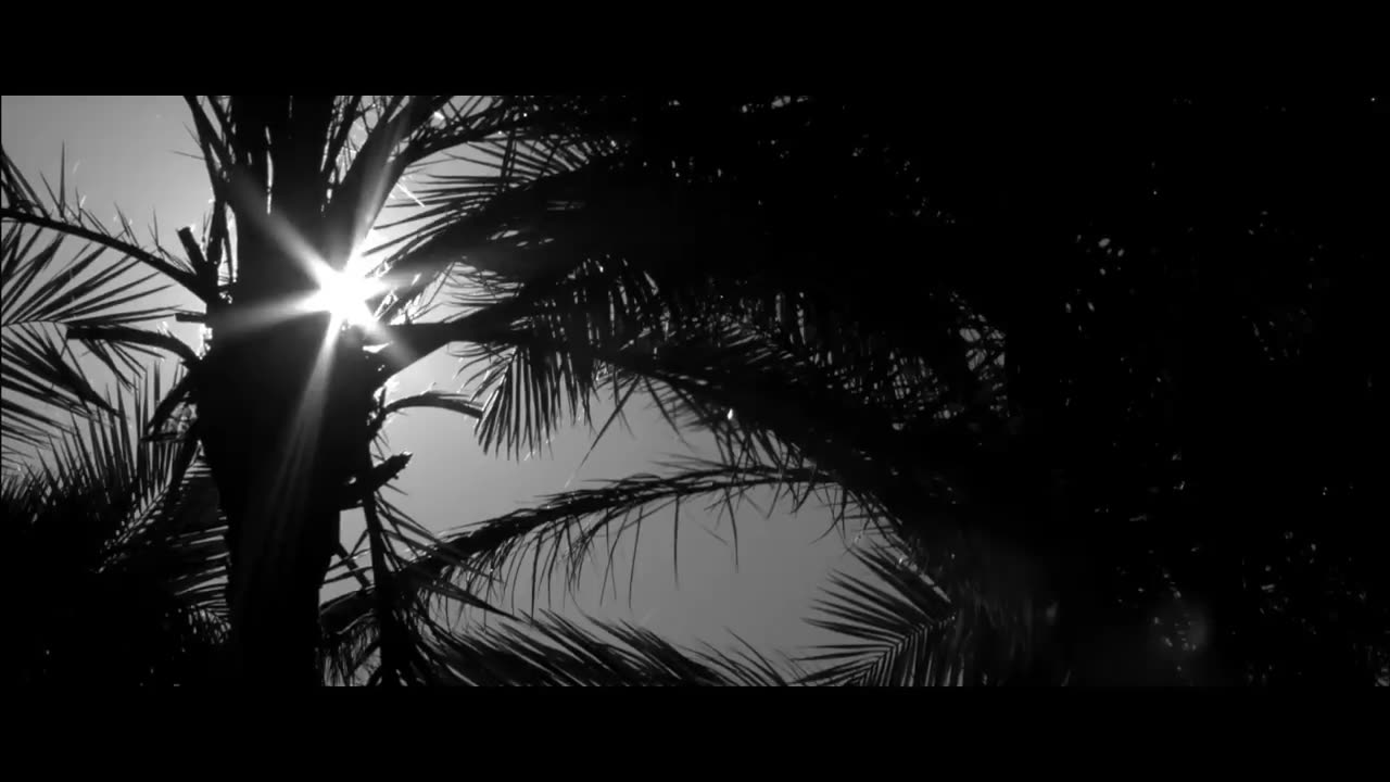 Lana Del Rey - Blue Jeans