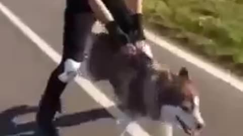 Riding on a dog 🤣(save petrol)😜