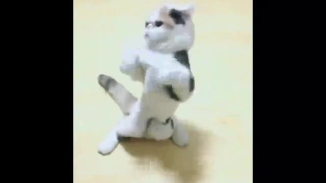 The dance of the cat