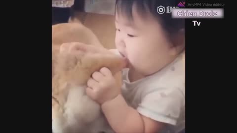 not just cats, babies love dogs too