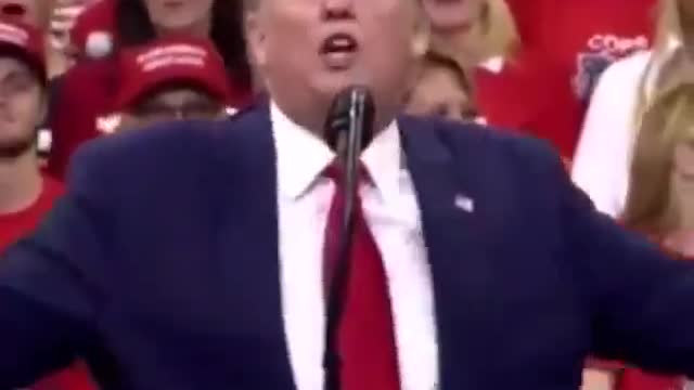 Punished Trump is real