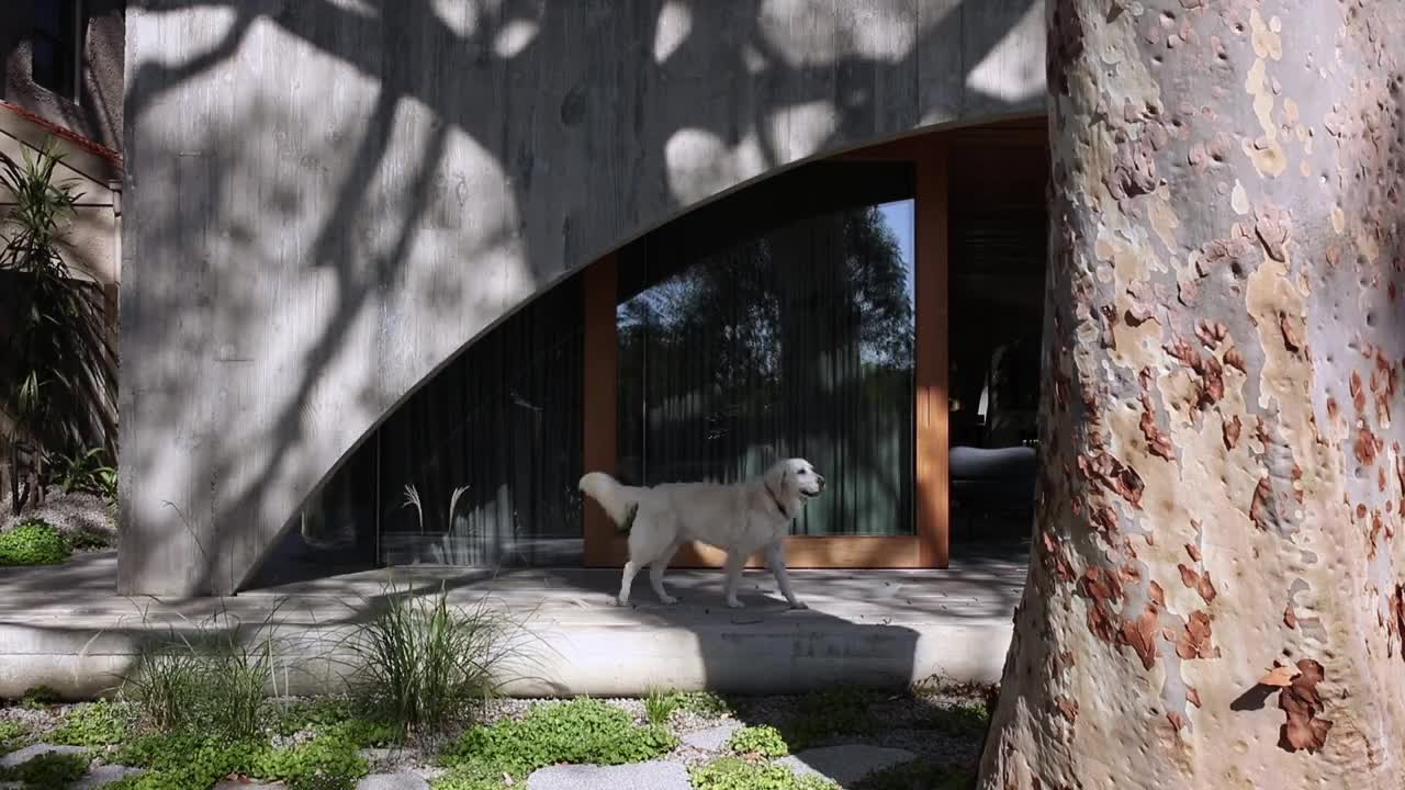 Edition Office Hawthorn House