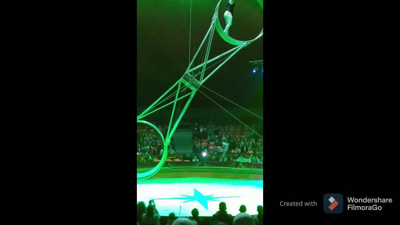 Amazing circus video