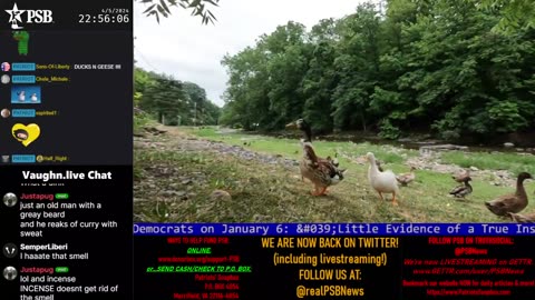 Echo Chamber Of Truth 2024-04-05