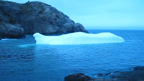Ice in The Gut 2