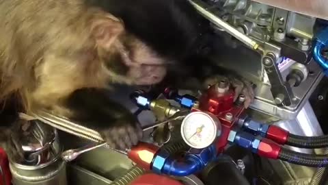 Twitch the Mechanic