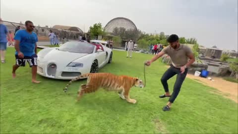 LION ATTACKED DUBAI RICHEST KID !!!-1