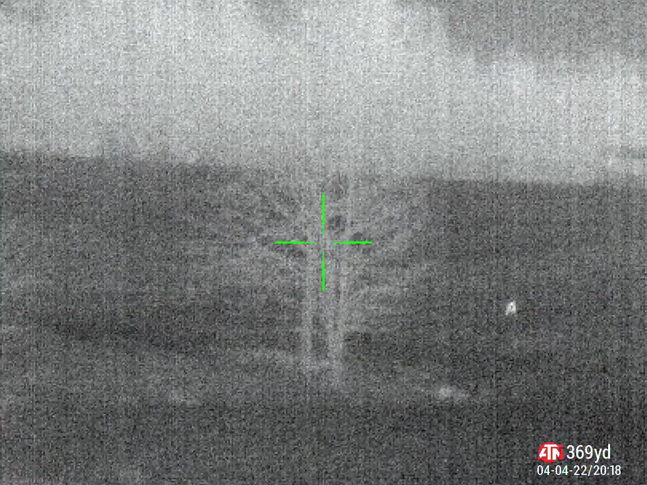 369 Yards Coyote and a miss