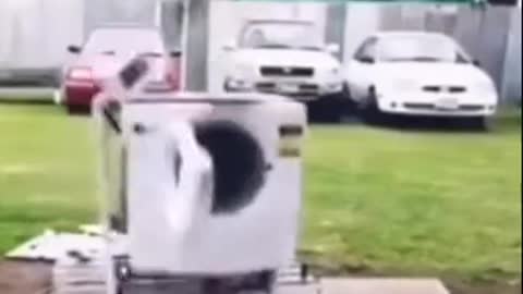 Washing machine on drugs