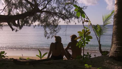 Robinson S19E35