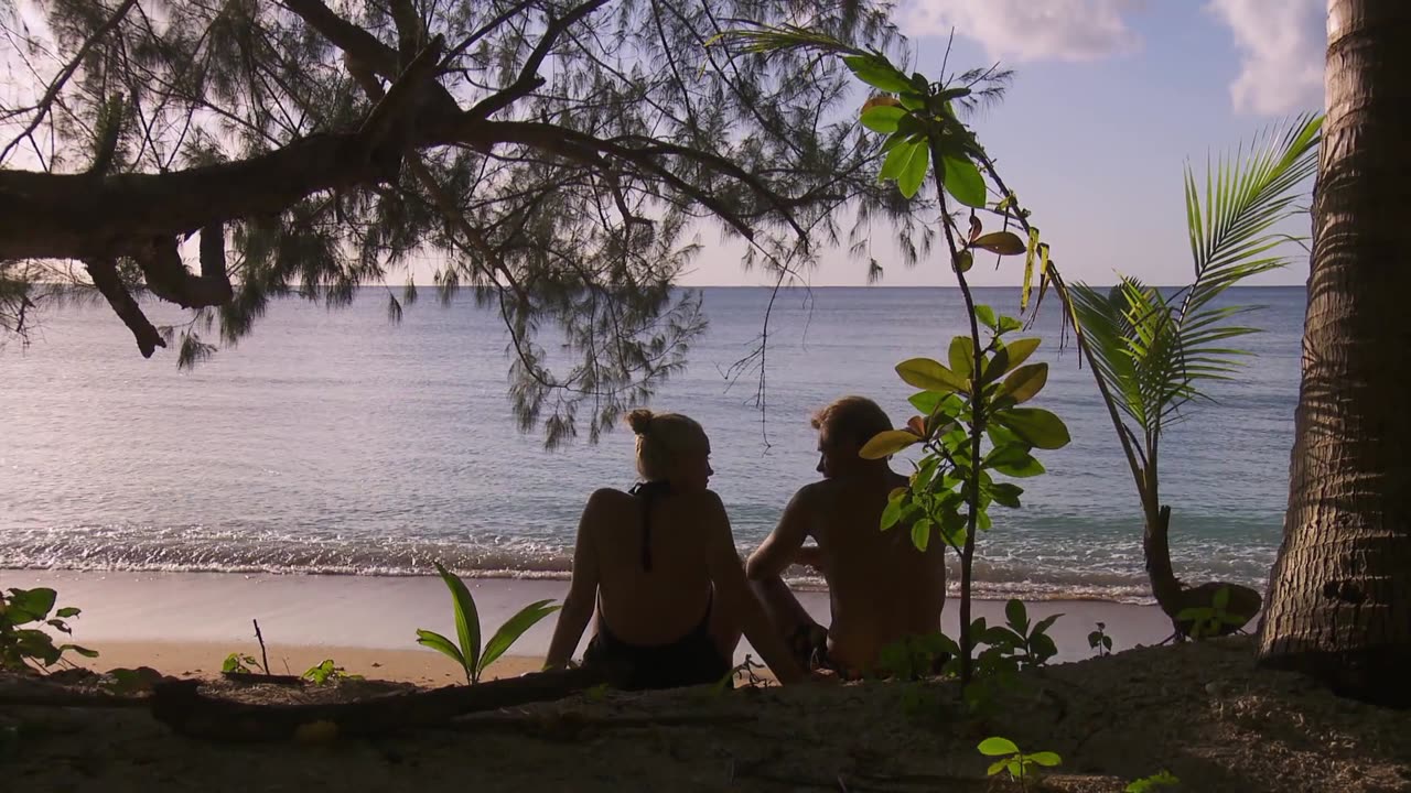 Robinson S19E35