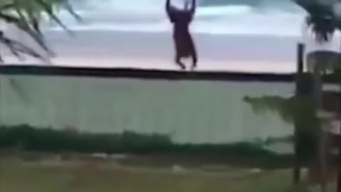 ❤️😹 Funniest Animals 😹 - Best Of 🙊❤️ Funny Animal Videos Ep 11 #Shorts#Pets ❤️