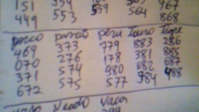 Aprendendo a jogar no bicho 2017 pt21